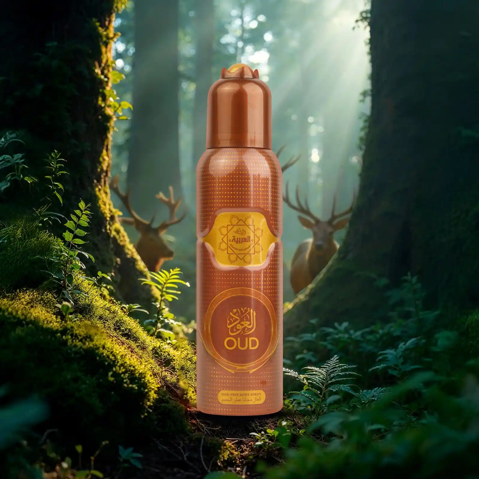 Al Arabia Oud Bundle Special Offer - Image 3